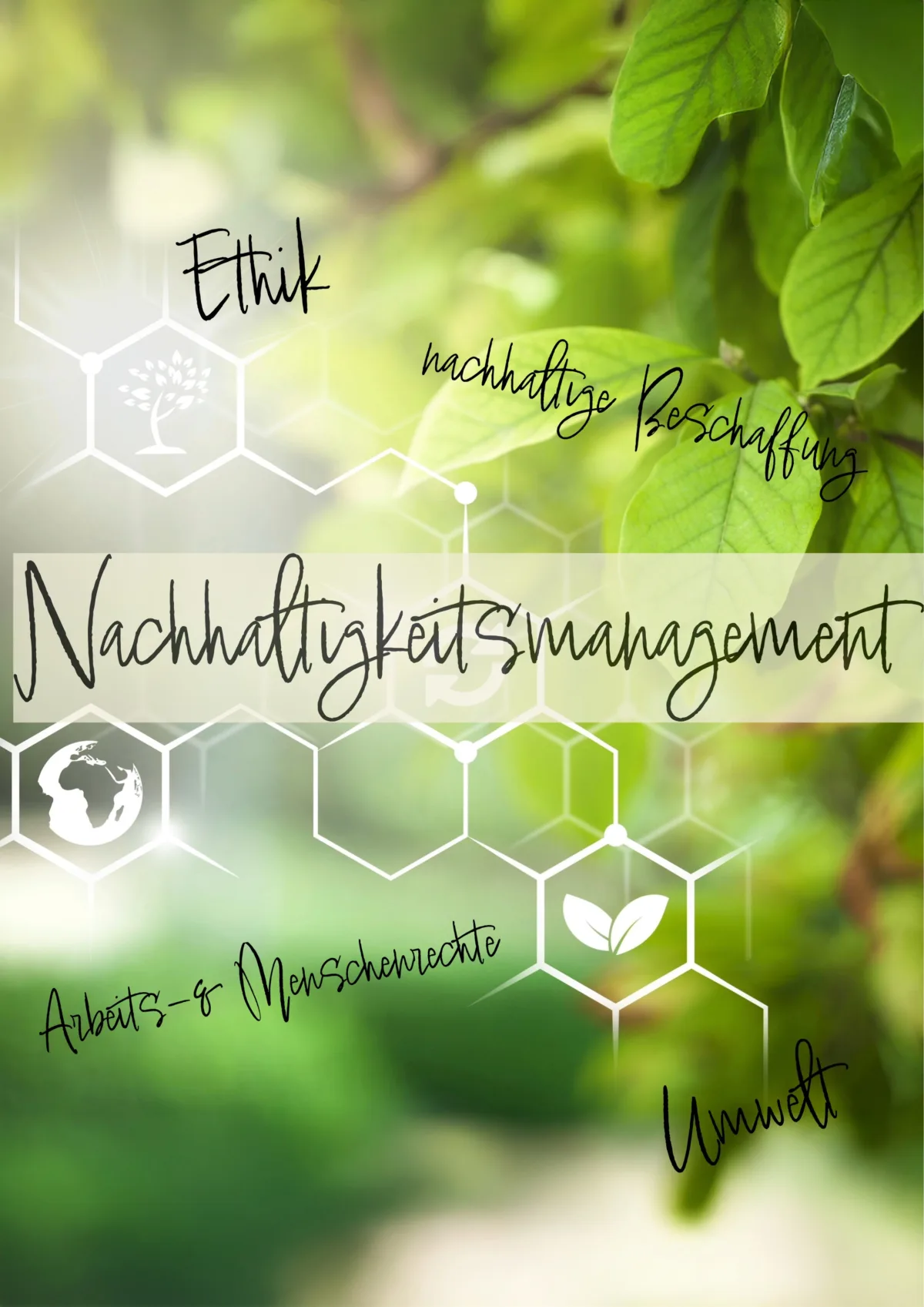 Eco Vadis Nachhaltigkeit 2025