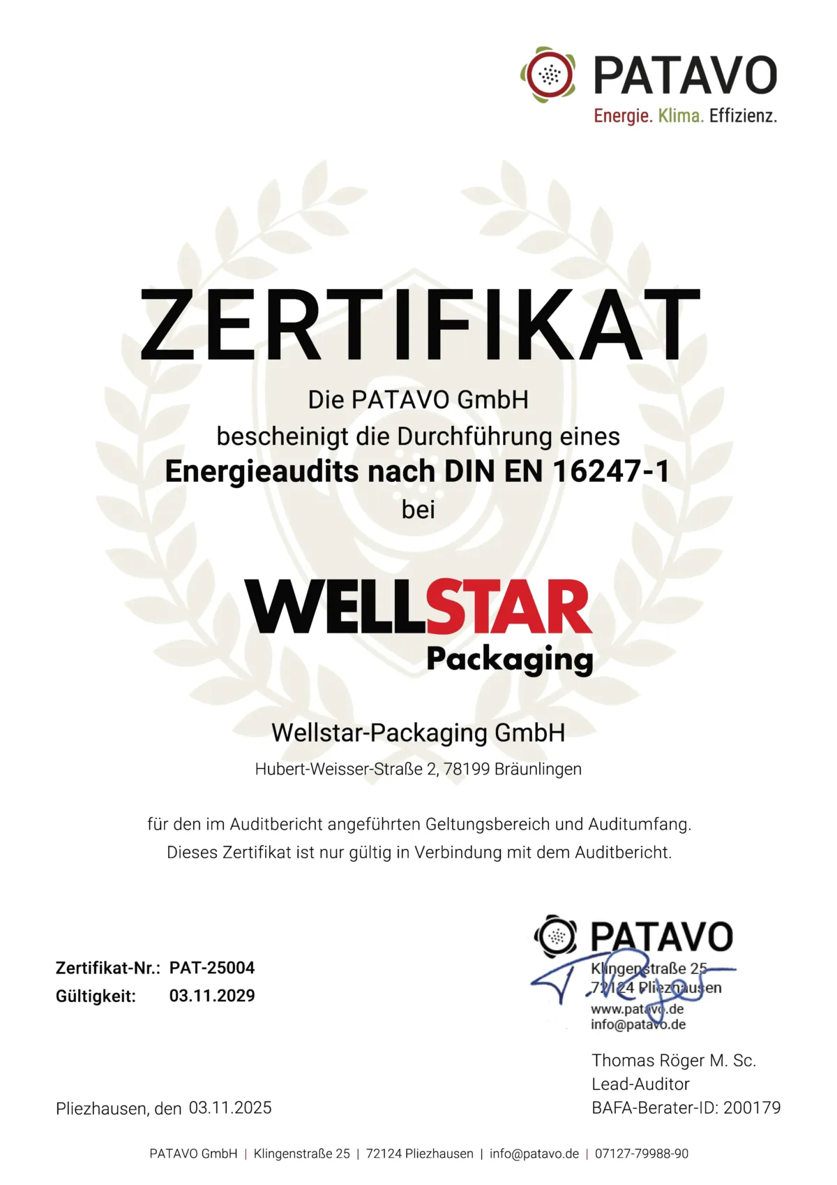 Wellstar EDL G Energieaudit 2025 04 Energieaudit Urkunde