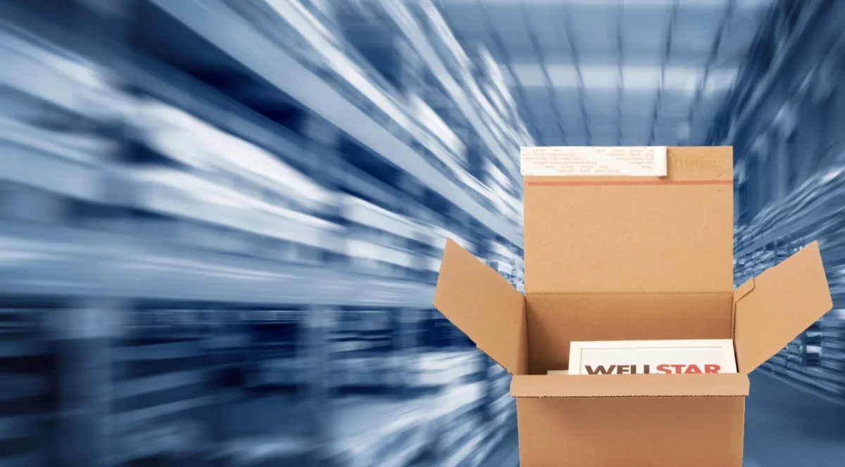 Verpackungen Industrie Speed Box spx