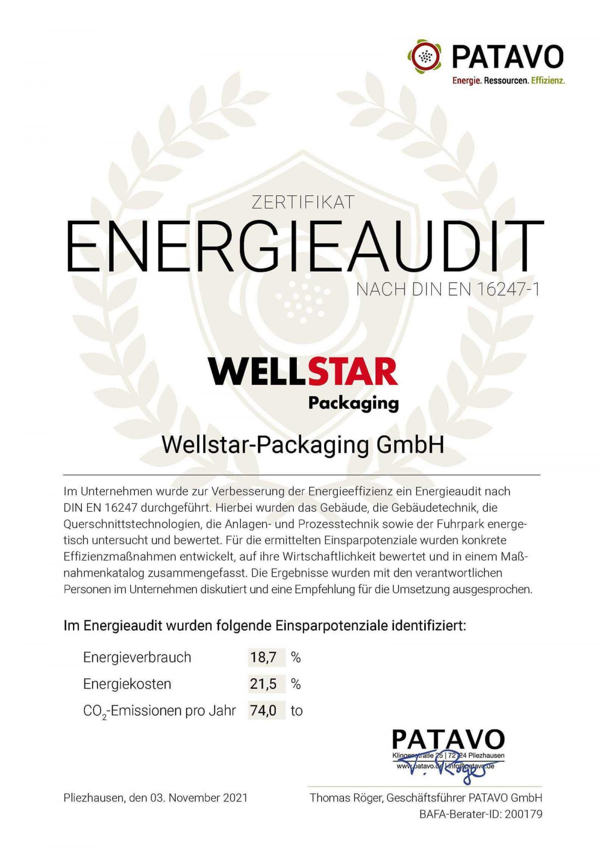 Zertifikat Energieaudit Wellstar-Packaging