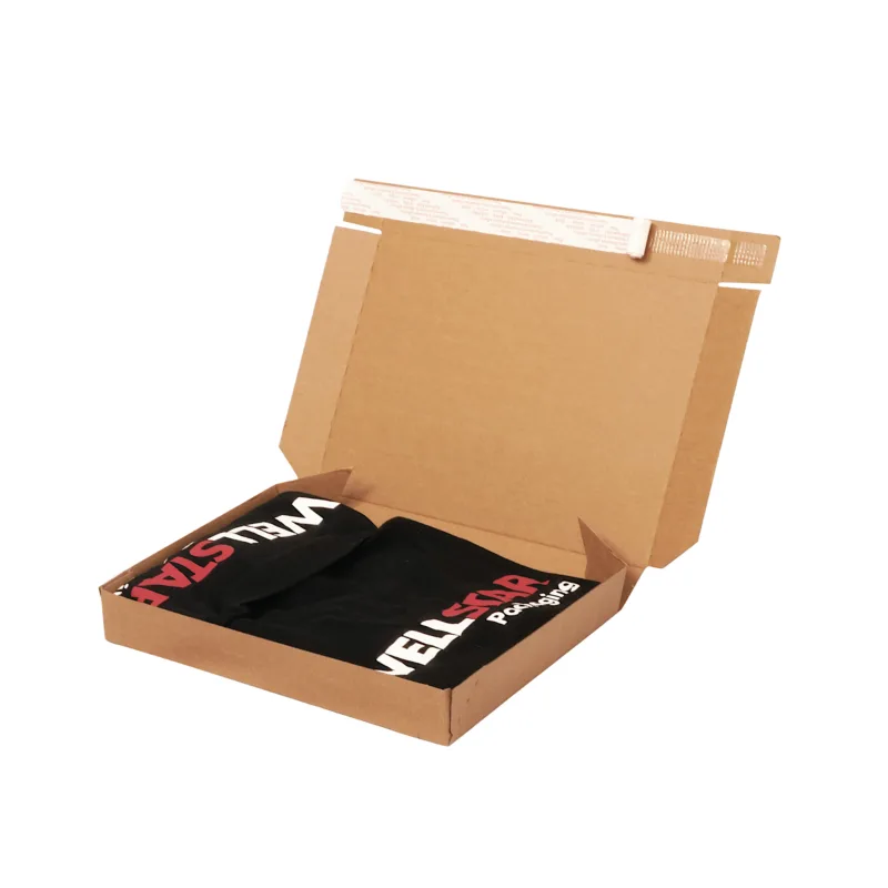 Klappschachtel Versandverpackung braun Selbstklebend