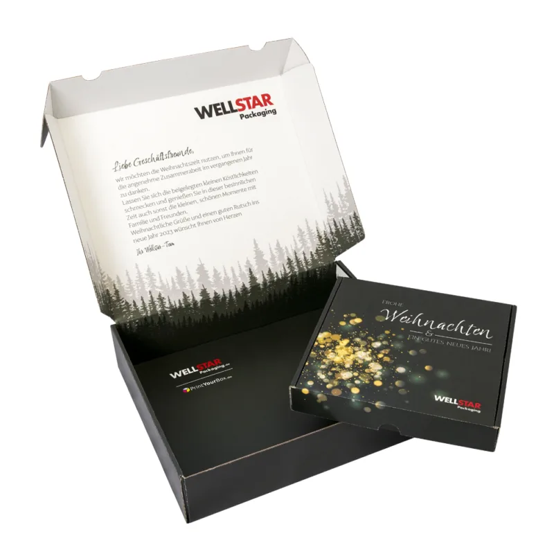 WELLSTAR Produkt Weihnachten1 1000x1000 weiss
