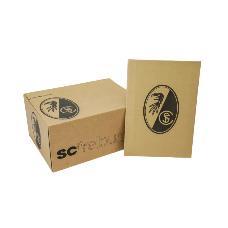 WELLSTAR Produkt SCF2 1000x1000 weiss