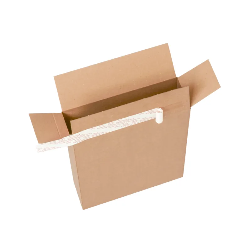 WELLSTAR Produkt leer 1000x1000 weiss3